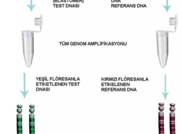 PREİMPLANTASYON GENETİK TANIDA (PGT) YENİ YÖNTEMLER – CGH VE MICROARRAYLER / Mart 2010 2. Konu