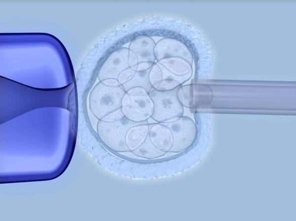 Tek blatosist embriyosu olan hastalara PGT-A yapalım mı, yapmayalım mı?