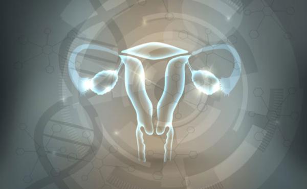 Dondurulmuş Çözülmüş Embriyo Transferlerinde Progesteron Hormonu ile Luteal Fazın Desteklenmesi