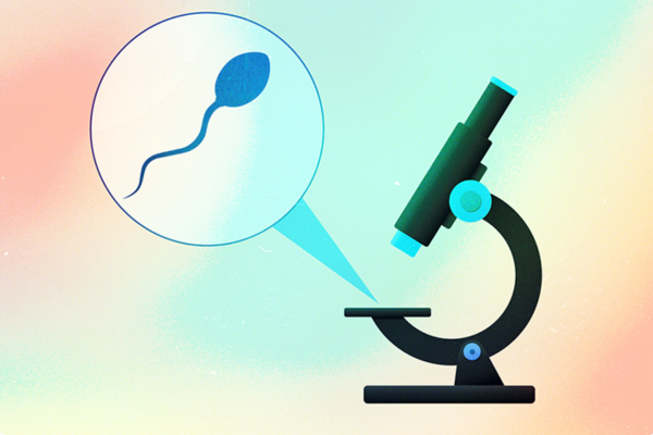 Semen analizi ve spermin şekil bozuklukları (teratozoospermi)