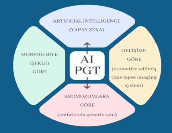 Yapay Zeka (Artıfıcıal Intelligence) ile Embriyo Seçimi