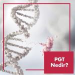 PGT Nedir?